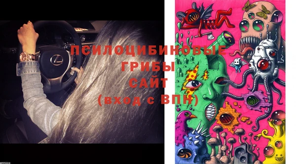 синтетический гашиш Лабытнанги