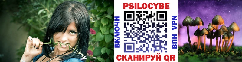 ссылка на мегу ссылка  Каргат  Псилоцибиновые грибы MAGIC MUSHROOMS 